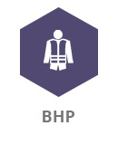 pikt-bhp